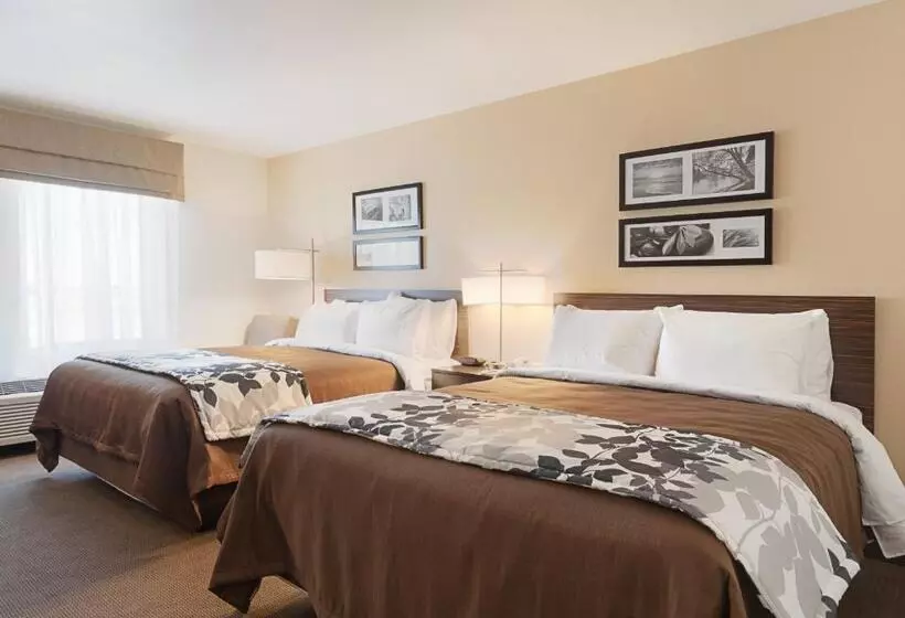 ２ダブルベッドのスタンダードルーム, Sleep Inn & Suites Carlsbad Caverns Area