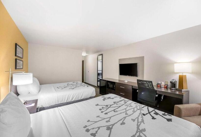 غرفه قياسيه سريرين مزدوجين, Sleep Inn & Suites Carlsbad Caverns Area