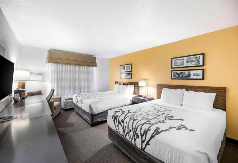 Номер Стандарт 2 Двуспальные Кровати, Sleep Inn & Suites Carlsbad Caverns Area