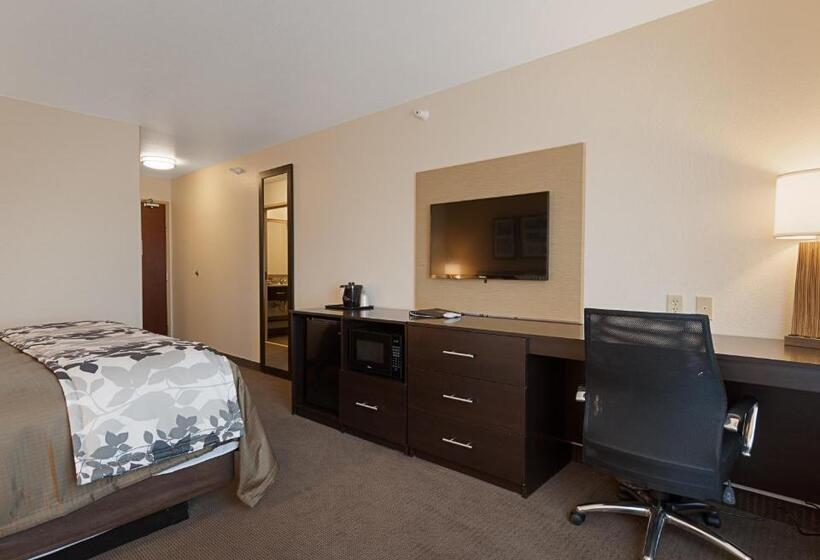 جناح سرير كينج, Sleep Inn & Suites Carlsbad Caverns Area