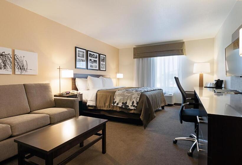 جناح سرير كينج, Sleep Inn & Suites Carlsbad Caverns Area