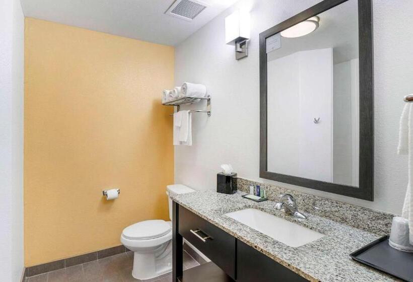 מיטת קינג בסוויטה, Sleep Inn & Suites Carlsbad Caverns Area