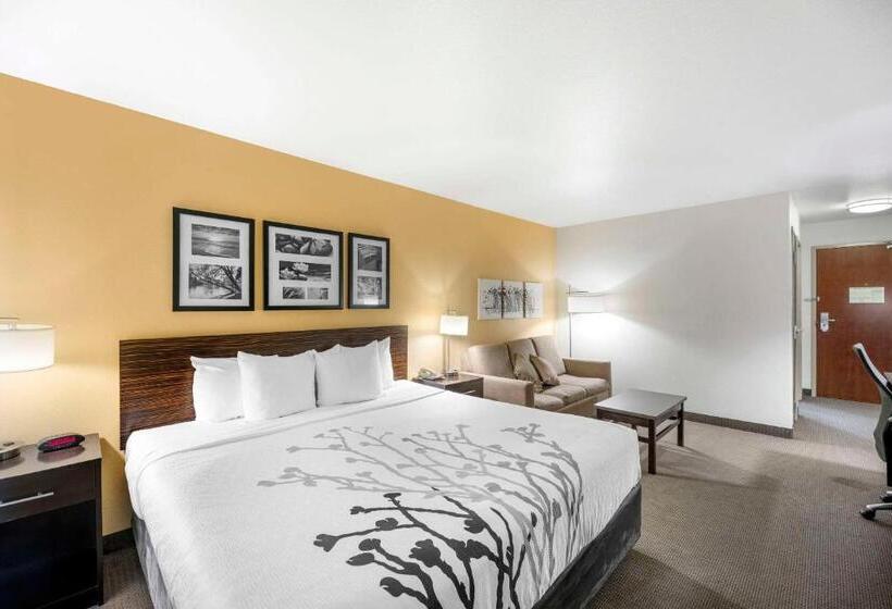 جناح سرير كينج, Sleep Inn & Suites Carlsbad Caverns Area