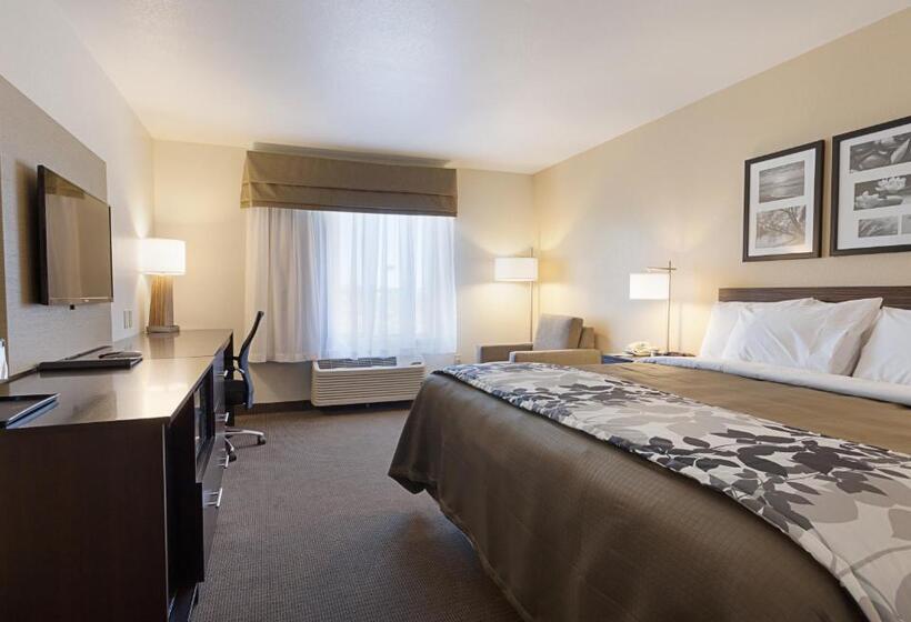 غرفة قياسية, Sleep Inn & Suites Carlsbad Caverns Area