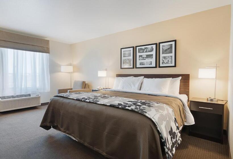 غرفة قياسية, Sleep Inn & Suites Carlsbad Caverns Area