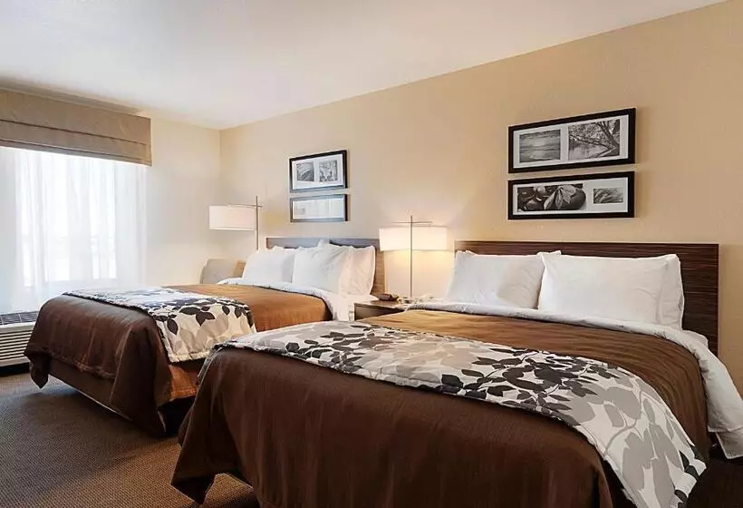 身障者適用スタンダードルーム, Sleep Inn & Suites Carlsbad Caverns Area