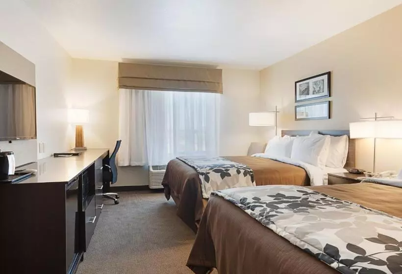 身障者適用スタンダードルーム, Sleep Inn & Suites Carlsbad Caverns Area