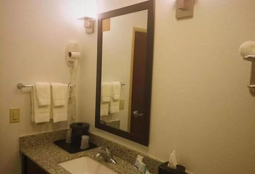 身障者適用スイートルーム, Sleep Inn & Suites Carlsbad Caverns Area