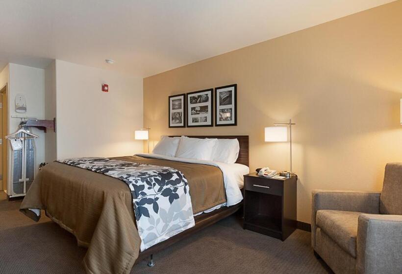 适合残疾人士使用的带超级大床的标准间, Sleep Inn & Suites Carlsbad Caverns Area