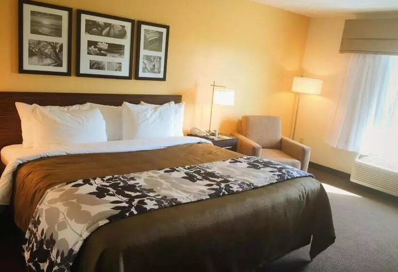 身障者適用キングサイズベッドルーム, Sleep Inn & Suites Carlsbad Caverns Area