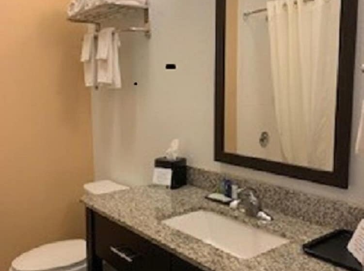 غرفه قياسيه سريرين مزدوجين, Sleep Inn & Suites Carlsbad Caverns Area