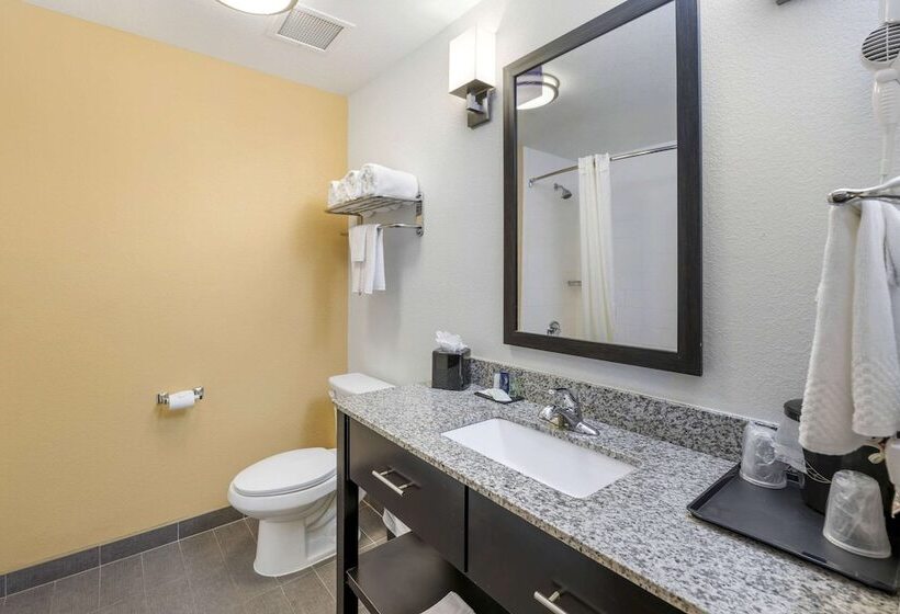 Номер Стандарт 2 Двуспальные Кровати, Sleep Inn & Suites Carlsbad Caverns Area