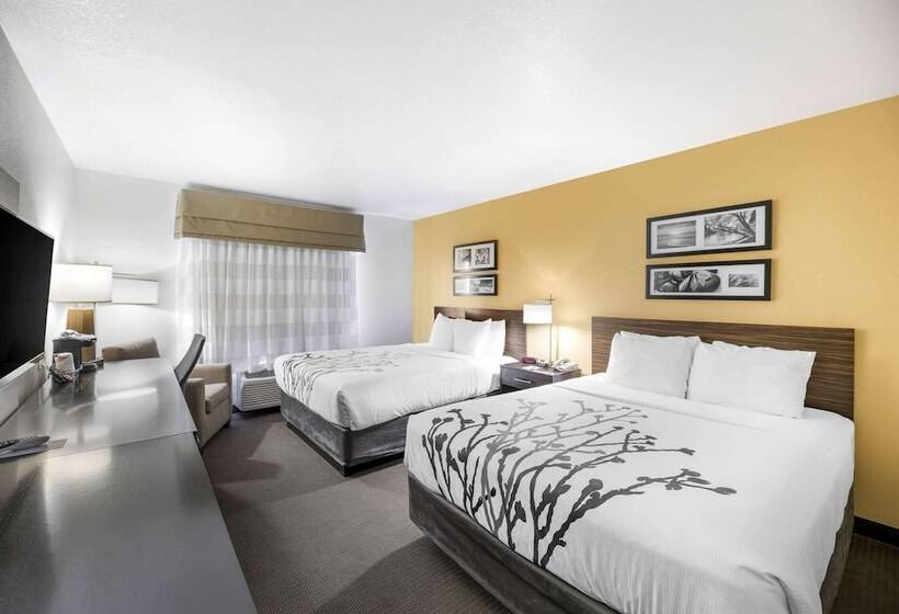 غرفه قياسيه سريرين مزدوجين, Sleep Inn & Suites Carlsbad Caverns Area