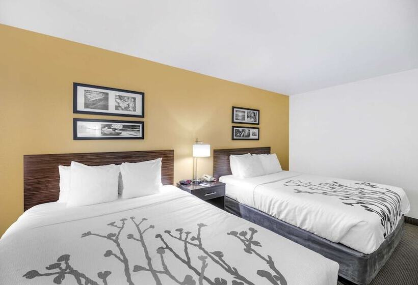 غرفه قياسيه سريرين مزدوجين, Sleep Inn & Suites Carlsbad Caverns Area