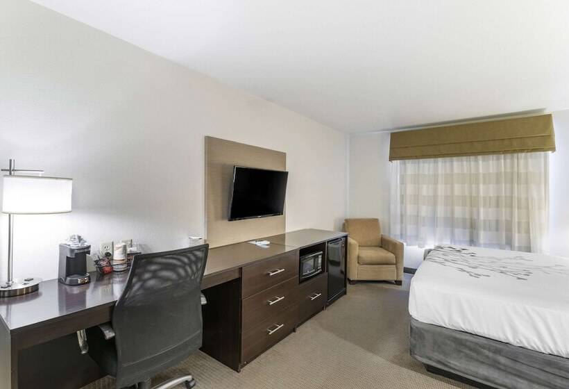 סוויטה מותאמת לאדם עם מוגבלויות, Sleep Inn & Suites Carlsbad Caverns Area