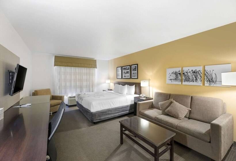 Люкс Адаптированный для Инвалидов, Sleep Inn & Suites Carlsbad Caverns Area