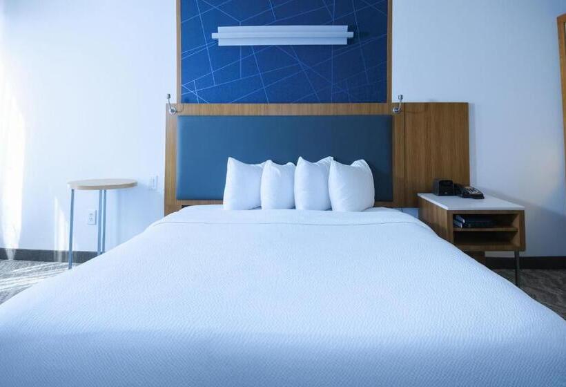 Люкс Кровать Кинг, Springhill Suites By Marriott Dallas Lewisville