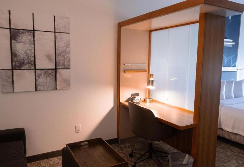 Люкс Адаптированный для Инвалидов, Springhill Suites By Marriott Dallas Lewisville