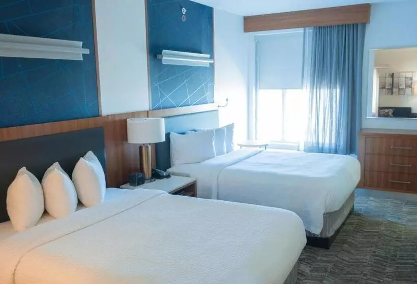 身障者適用スイートルーム, Springhill Suites By Marriott Dallas Lewisville
