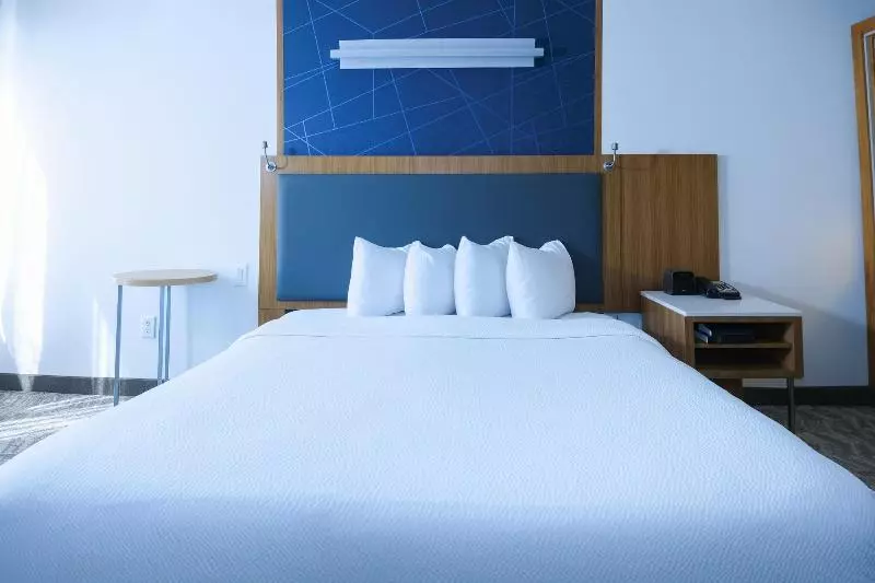 キングサイズベッドのスイートルーム, Springhill Suites By Marriott Dallas Lewisville