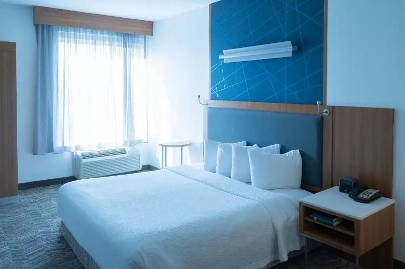 キングサイズベッドのスイートルーム, Springhill Suites By Marriott Dallas Lewisville