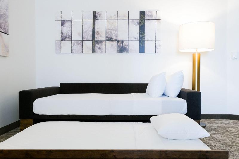 스위트, Springhill Suites By Marriott Dallas Lewisville