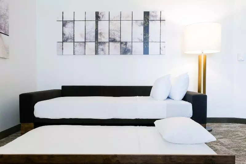 スイート, Springhill Suites By Marriott Dallas Lewisville