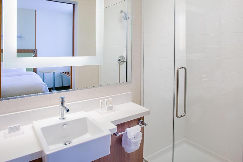 Люкс, Springhill Suites By Marriott Dallas Lewisville