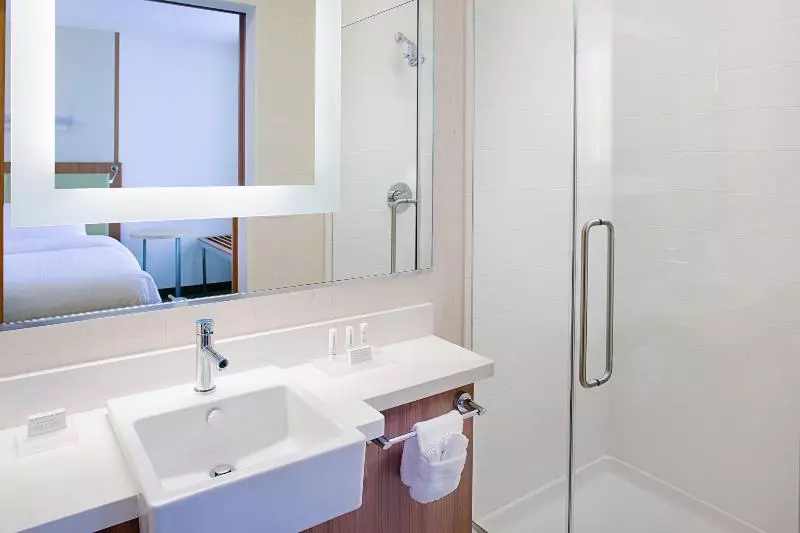 スイート, Springhill Suites By Marriott Dallas Lewisville