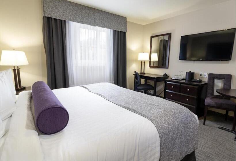 스탠다드 룸 킹사이즈 침대, The Kanata By Bcminns Blairmore