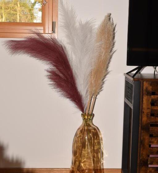 סוויטה דלוקס, Chez Kate Et Lolo