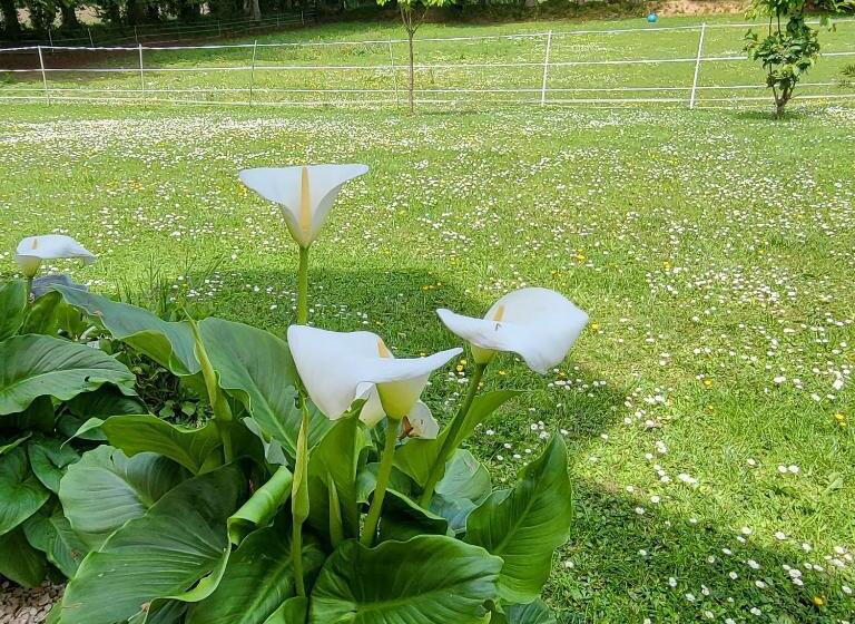 חדר סטנדרט, Chez Kate Et Lolo