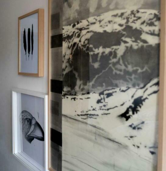 غرفة قياسية, Fugl Fønix