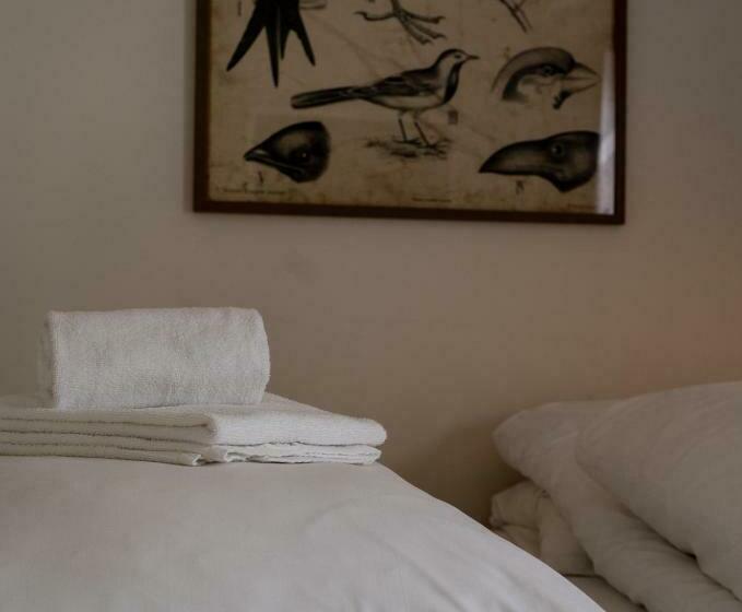 جناح ديلوكس, Fugl Fønix