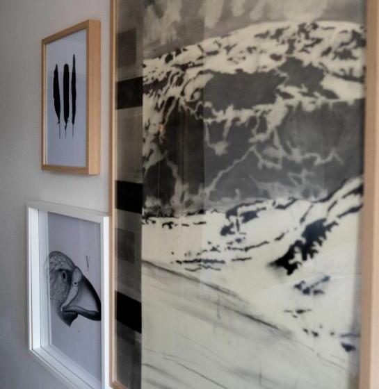 غرفة قياسية فردية, Fugl Fønix