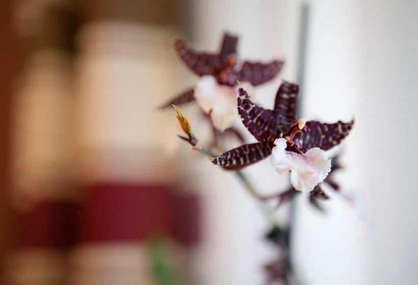 חדר סטנדרט, Landgasthof Linden