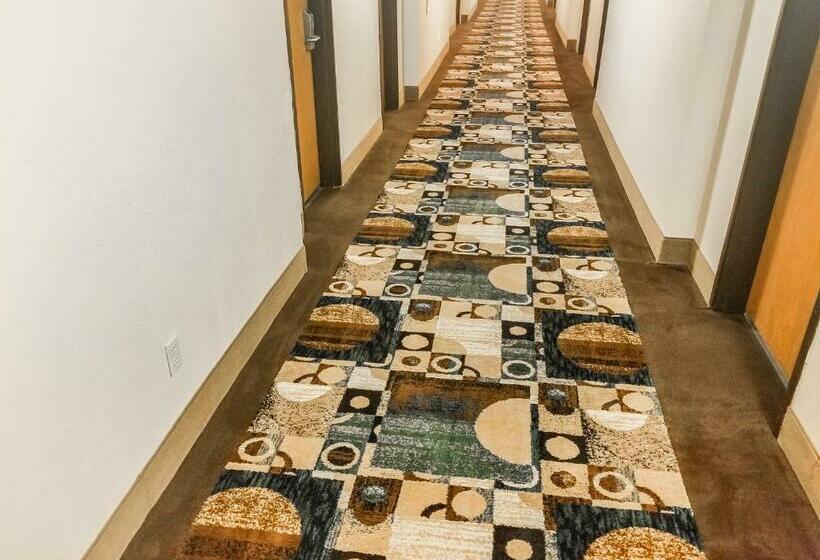 Номер Стандарт 2 Двуспальные Кровати, 7 Inn Vienna