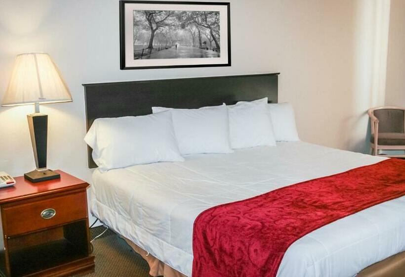 Стандартный Номер Кровать Кинг, 7 Inn Vienna