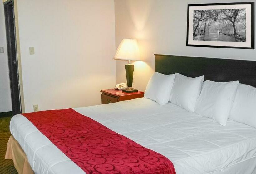 Стандартный Номер Кровать Кинг, 7 Inn Vienna