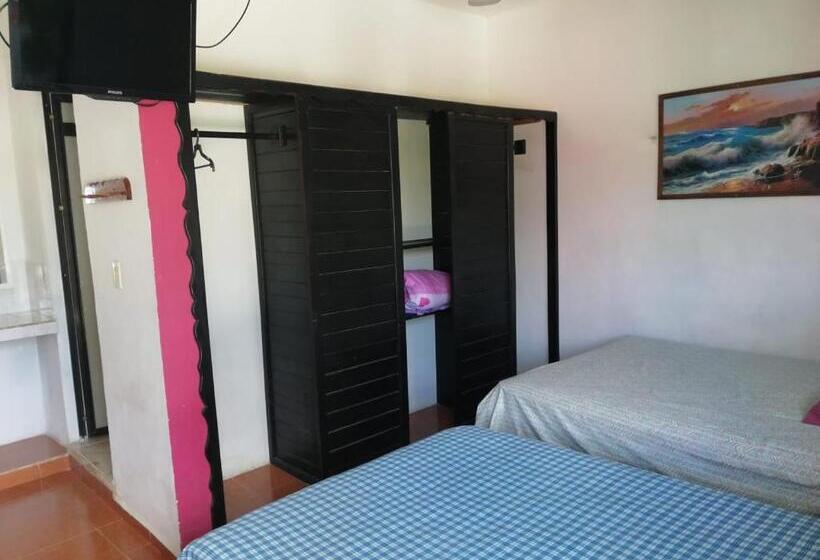 غرفة ديلوكس, D´concepción