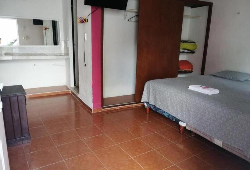 غرفة قياسية سرير كينج, D´concepción