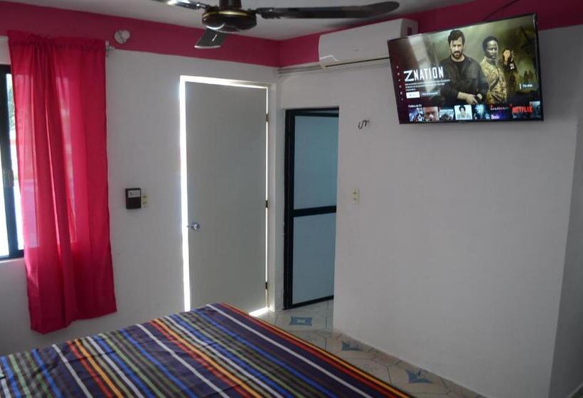 غرفة قياسية سرير كينج, D´concepción