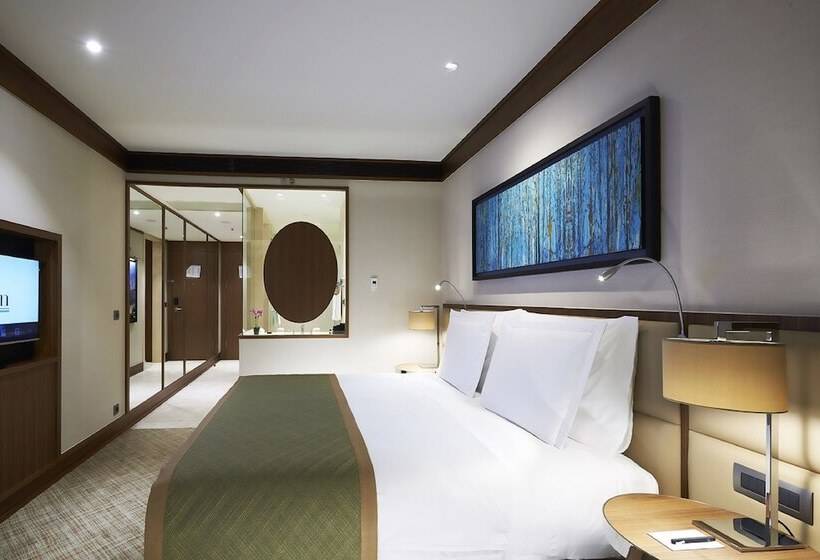 غرفة ديلوكس, Divan Adana