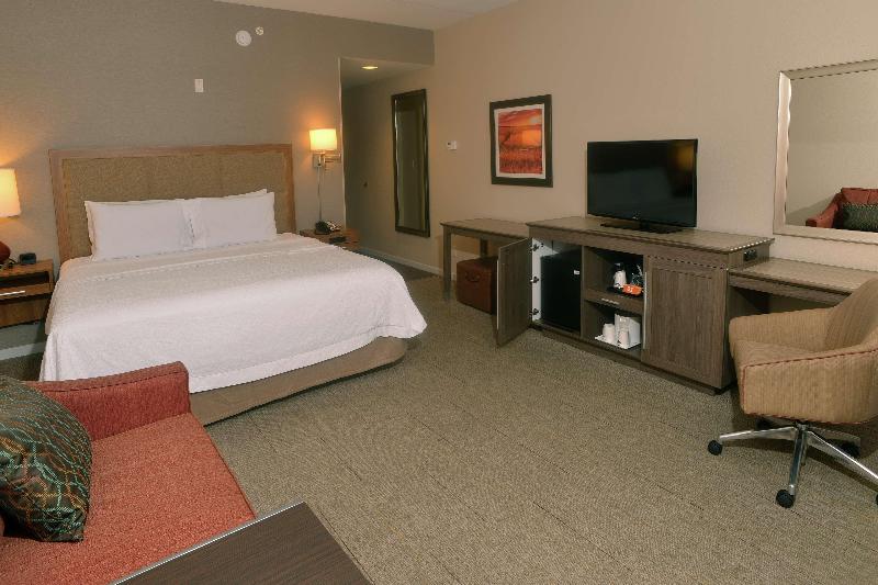 غرفة قياسية سرير كينج, Hampton Inn Springfieldsoutheast