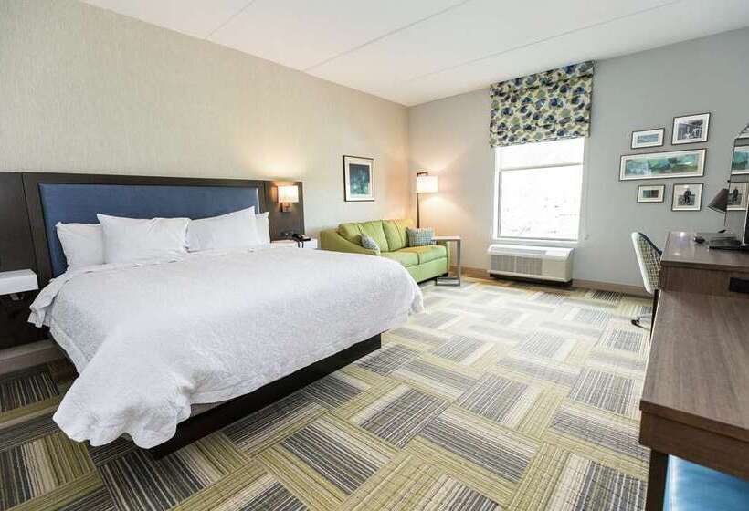 غرفة قياسية سرير كينج, Hampton Inn Springfieldsoutheast