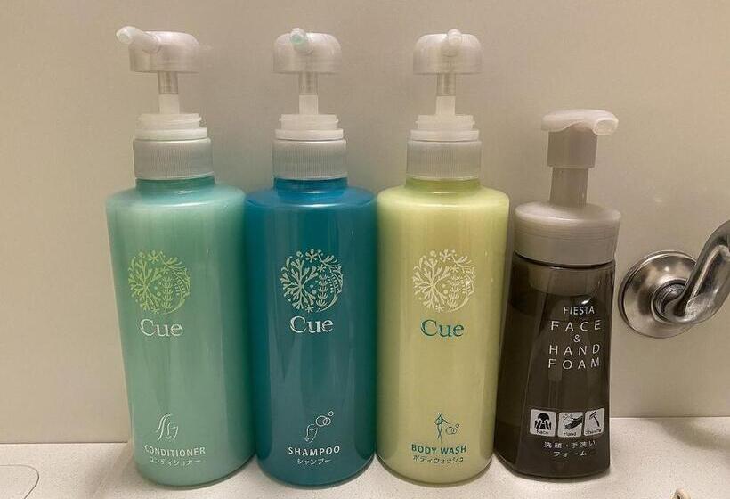 חדר בסיסי, Route Inn Ina Inter