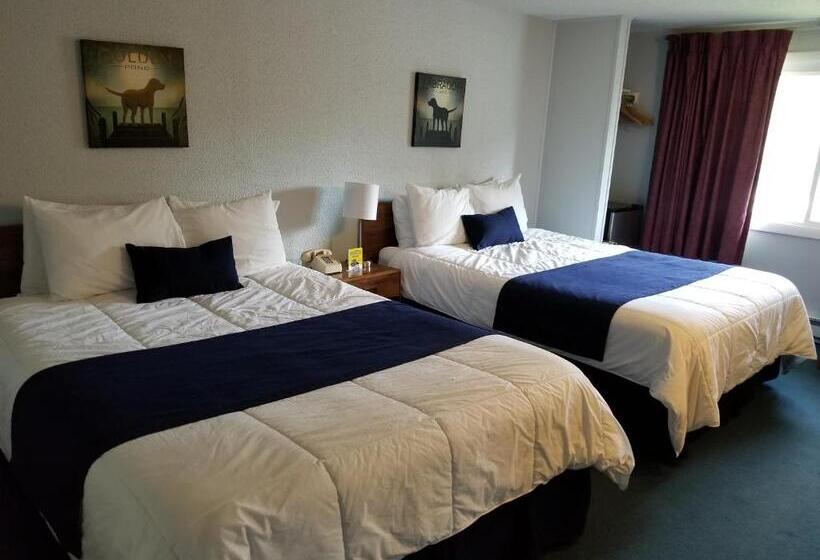 غرفة قياسية, Eastern Inn & Suites