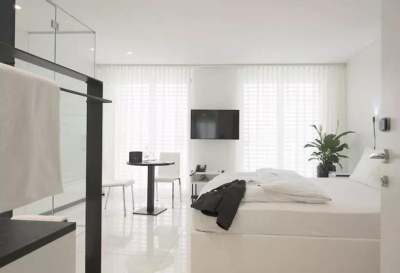 スタンダードルーム, Residence Thessoni Home , Boarding House & Serviced Apartments Zürich