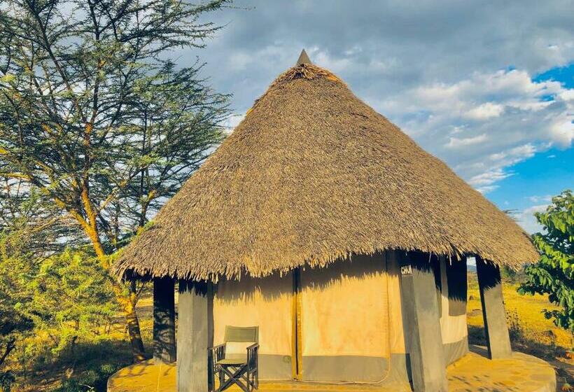 اتاق لوکس یک تخته, Explore Mara Camp