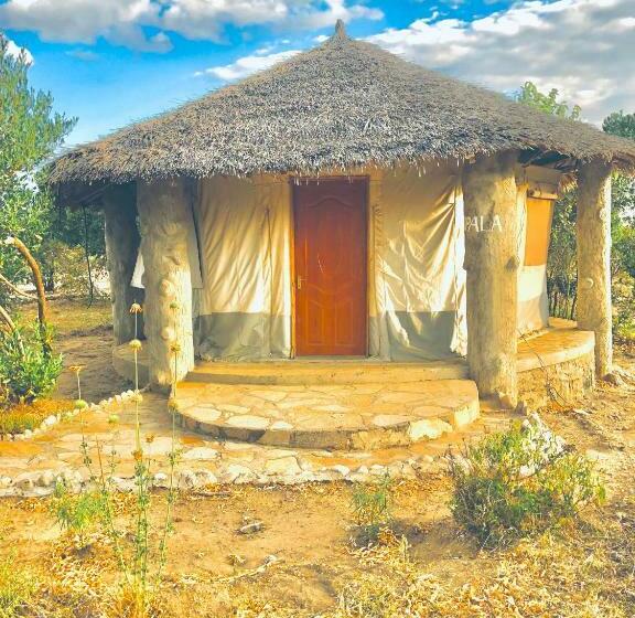 اتاق لوکس, Explore Mara Camp